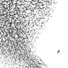 Wilco - Sky Blue Sky i gruppen -Start Vinyl hos Bengans Skivbutik AB (4306441)