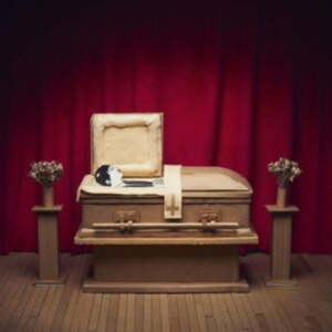 Pepper Gregory & His Problems - No Thanks i gruppen VINYL / Metal hos Bengans Skivbutik AB (4306511)