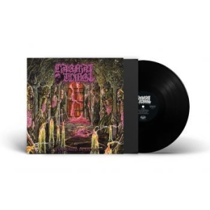 Carnal Tomb - Embalmed In Decay (Vinyl Lp) i gruppen VINYL hos Bengans Skivbutik AB (4308277)