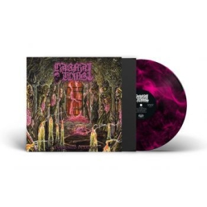 Carnal Tomb - Embalmed In Decay (Magenta Marbled i gruppen VINYL hos Bengans Skivbutik AB (4308279)