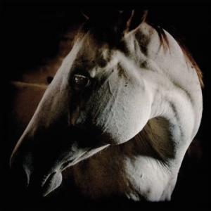 Brother Dege - How To Kill A Horse (Digisleeve) i gruppen CD hos Bengans Skivbutik AB (4308294)