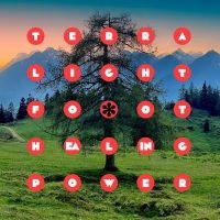 Lightfoot Terra - Healing Power i gruppen CD hos Bengans Skivbutik AB (4309115)