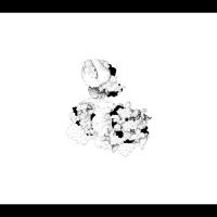 Webber Anna And Matt Mitchell - Capacious Aeration i gruppen CD / Jazz hos Bengans Skivbutik AB (4310918)