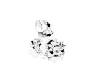 Webber Anna And Matt Mitchell - Capacious Aeration i gruppen CD / Jazz hos Bengans Skivbutik AB (4310918)