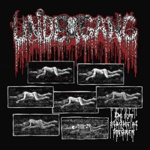Undergang - De Syv Stadier Af Fordaerv i gruppen CD / Metal hos Bengans Skivbutik AB (4313837)