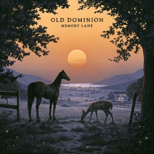 Old Dominion - Memory Lane i gruppen Annet /  hos Bengans Skivbutik AB (4313854)