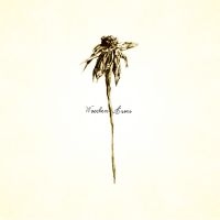Patrick Watson - Wooden Arms i gruppen VINYL / Rock hos Bengans Skivbutik AB (4314287)