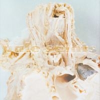 Pale Saints - In Ribbons (Black Vinyl) i gruppen VINYL / Rock hos Bengans Skivbutik AB (4315251)