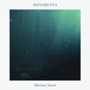 Novarupta - Marine Snow i gruppen Annet /  hos Bengans Skivbutik AB (4324160)