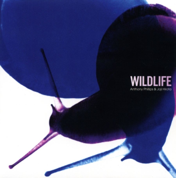 Phillips Anthony & Joji Hirota - Wildlife (Remastered And Expanded) i gruppen CD / Toppselgere hos Bengans Skivbutik AB (4349620)