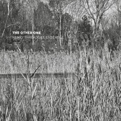 Henry Threadgill Ensemble - The other one i gruppen CD / Jazz/Blues hos Bengans Skivbutik AB (4375185)