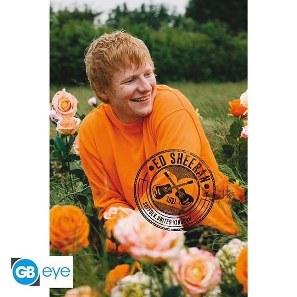 Ed Sheeran - Poster Rose Field  91,5 X 61 Cm i gruppen MERCH / Plakater hos Bengans Skivbutik AB (4401456)