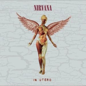 Nirvana - In Utero (2Cd Deluxe) i gruppen CD / Pop-Rock hos Bengans Skivbutik AB (4414306)