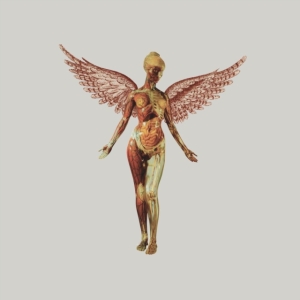 Nirvana - In Utero (Box Vinyl Super Deluxe) i gruppen -Start Uni-LP hos Bengans Skivbutik AB (4414506)