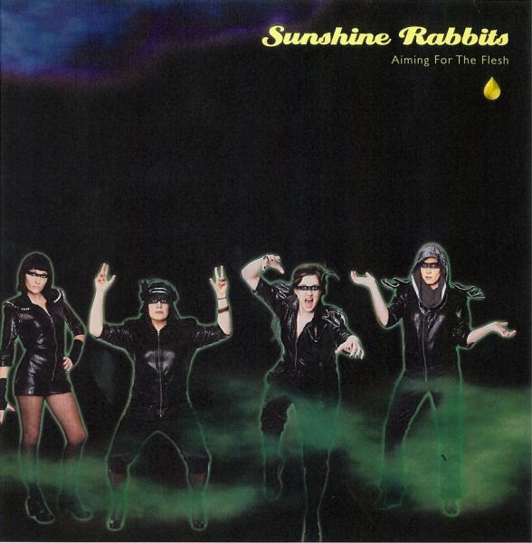 Sunshine Rabbits - Aiming For The Flesh i gruppen VINYL / Toppselgere hos Bengans Skivbutik AB (481633)