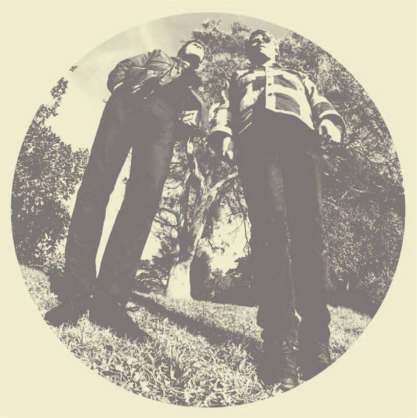 Segall Ty & White Fence - Hair i gruppen VINYL / Toppselgere hos Bengans Skivbutik AB (482129)