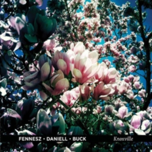Fennesz/ Daniell/ Buck - Knoxville i gruppen VINYL / Pop-Rock hos Bengans Skivbutik AB (483752)