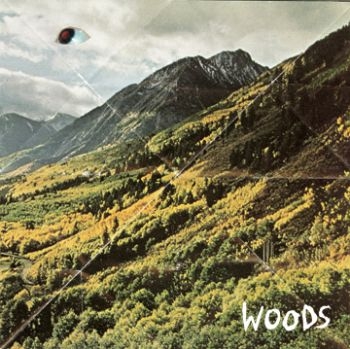 Woods - Songs Of Shame i gruppen VINYL / Rock hos Bengans Skivbutik AB (485165)