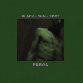 Black Sun Roof - Feral (Lp+Cd) i gruppen VINYL / Rock hos Bengans Skivbutik AB (485852)