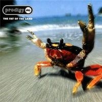 The Prodigy - Fat Of The Land (Reissue) i gruppen VI TIPSER / Bengans Personal tipser / Erika Tipsar hos Bengans Skivbutik AB (486860)