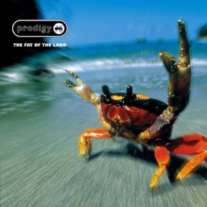 The Prodigy - Fat Of The Land (Reissue) i gruppen VI TIPSER / Bengans Personal tipser / Erika Tipsar hos Bengans Skivbutik AB (486860)