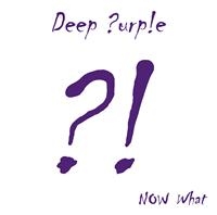 DEEP PURPLE - NOW WHAT?! i gruppen VINYL / Toppselgere hos Bengans Skivbutik AB (487031)