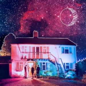 Tripwires - Spacehopper i gruppen VINYL / Pop-Rock hos Bengans Skivbutik AB (492839)