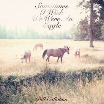 Callahan Bill - Sometimes I Wish We Were An Eagle i gruppen VINYL / Toppselgere hos Bengans Skivbutik AB (493161)