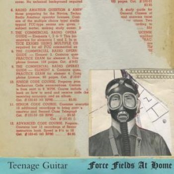 Teenage Guitar - Force Fields At Home i gruppen VINYL / Rock hos Bengans Skivbutik AB (496477)