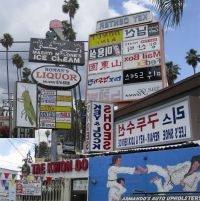 Friedberger Matthew - Cut It Out i gruppen VINYL / Pop-Rock hos Bengans Skivbutik AB (498315)