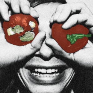 Terry Malts - Nobody Realizes This Is Nowhere i gruppen VINYL hos Bengans Skivbutik AB (499611)