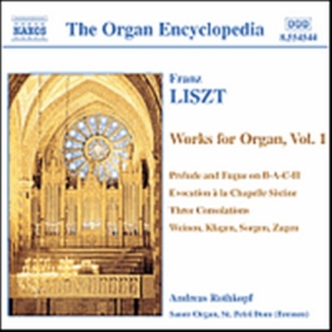 Liszt Franz - Works For Organ Vol 1 i gruppen CD / Klassisk hos Bengans Skivbutik AB (504459)