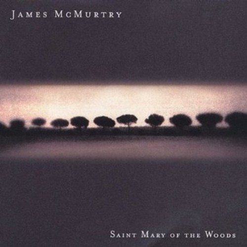 Mcmurtry James - Saint Mary Of The Woods i gruppen CD / Rock hos Bengans Skivbutik AB (506751)