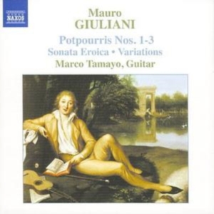 Giuliani Mauro - Guitar Music Vol 2 i gruppen CD hos Bengans Skivbutik AB (510658)