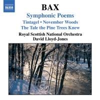 Bax Arnold - Symphonic Poems i gruppen CD hos Bengans Skivbutik AB (510951)