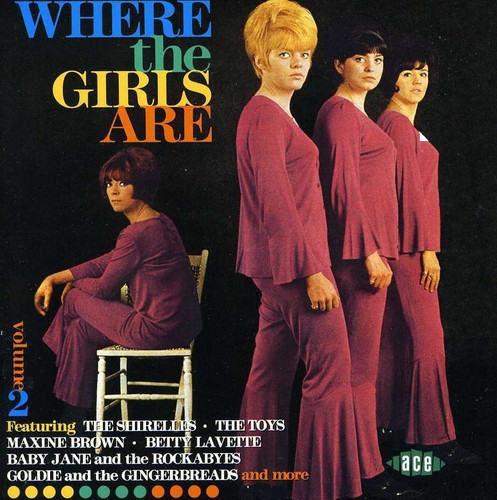 Various Artists - Where The Girls Are Vol 2 i gruppen CD / Pop hos Bengans Skivbutik AB (514757)