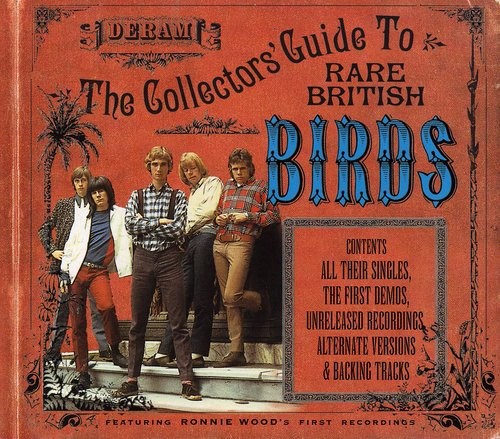 The Birds - Collector's Guide To i gruppen CD / Toppselgere hos Bengans Skivbutik AB (515926)