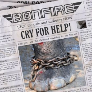Bonfire - Cry For Help i gruppen Minishops / Bonfire hos Bengans Skivbutik AB (518383)