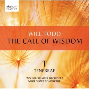 Todd - The Call Of Wisdom i gruppen CD hos Bengans Skivbutik AB (519792)