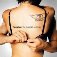 Aerosmith - Young Lust/Anthology i gruppen Labels /  hos Bengans Skivbutik AB (524698)