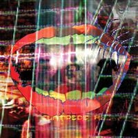 Animal Collective - Centipede Hz i gruppen CD hos Bengans Skivbutik AB (525676)