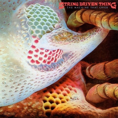String Driven Thing - Machine That Cried i gruppen CD / Toppselgere hos Bengans Skivbutik AB (526266)