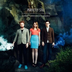Riedel/Svensson/Skokic - Perfectly Still i gruppen CD hos Bengans Skivbutik AB (527213)