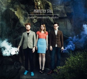 Riedel/Svensson/Skokic - Perfectly Still i gruppen CD hos Bengans Skivbutik AB (527213)
