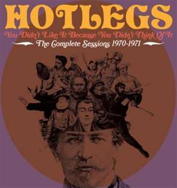 Hotlegs - You Didn't Like It Because You Didn i gruppen CD / Pop hos Bengans Skivbutik AB (531254)
