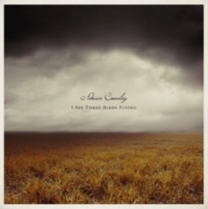 Crowley Adrian - I See Three Birds Flying i gruppen CD / Metal,Pop-Rock hos Bengans Skivbutik AB (531294)