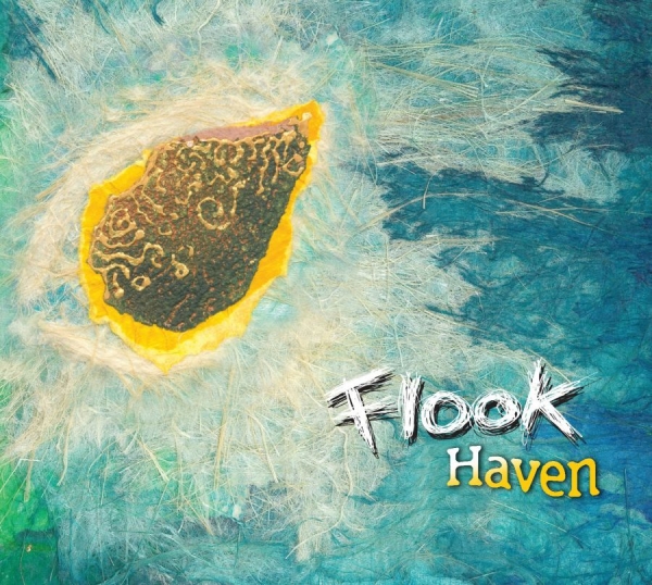 Flook - Haven i gruppen CD / Rock hos Bengans Skivbutik AB (535535)