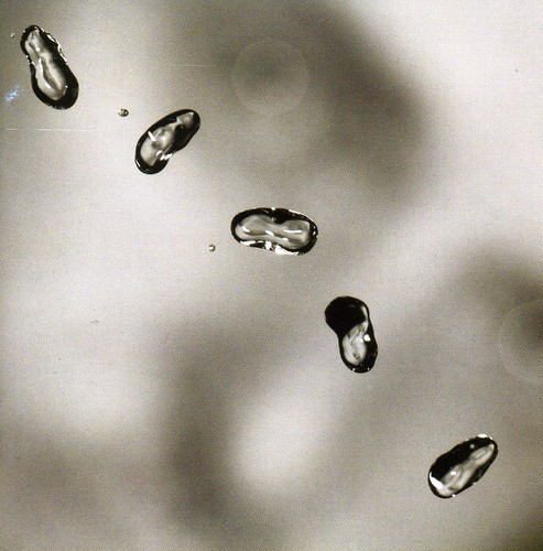 Peter Gabriel - Up i gruppen CD / Pop hos Bengans Skivbutik AB (536173)
