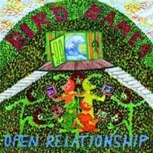 Bird Names - Open Relationship i gruppen CD / Pop-Rock hos Bengans Skivbutik AB (539157)