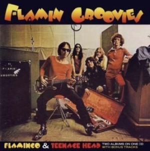Flamin' Groovies - Flamingo/Teenage Head i gruppen CD / Pop-Rock hos Bengans Skivbutik AB (540051)